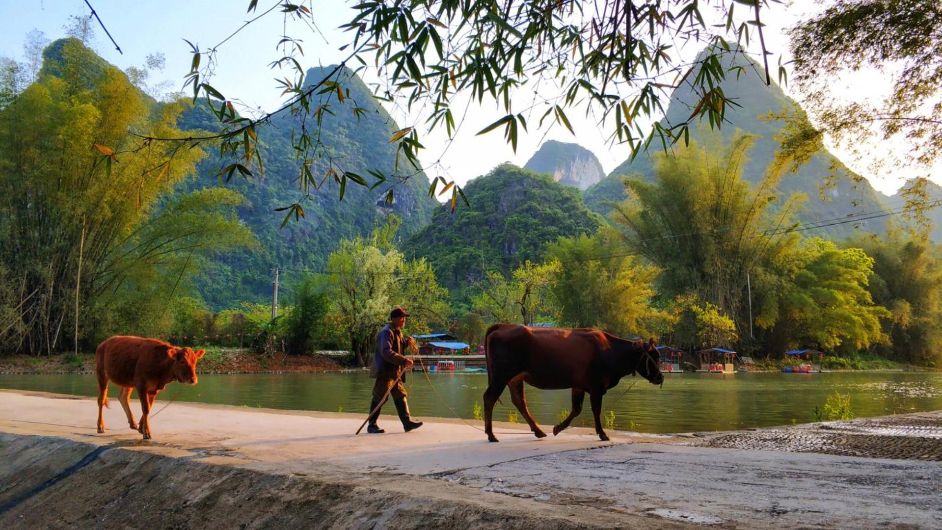 Moondance Boutique Resort Yangshuo Εξωτερικό φωτογραφία