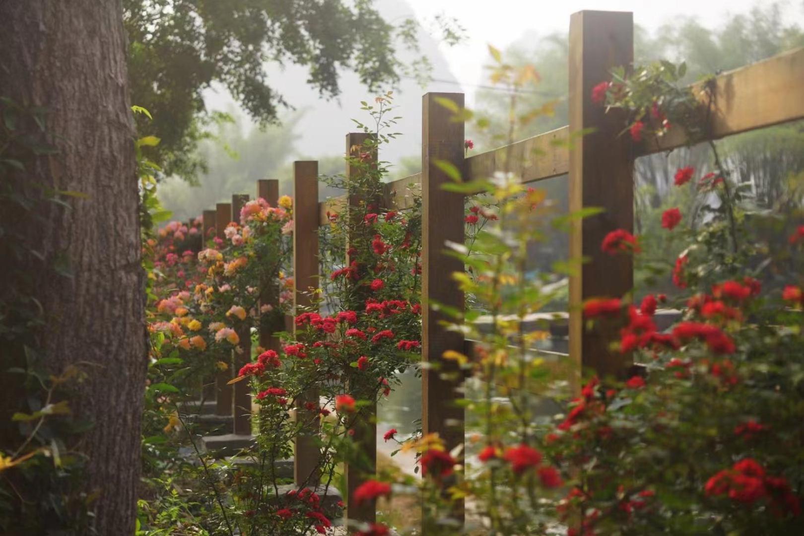Moondance Boutique Resort Yangshuo Εξωτερικό φωτογραφία